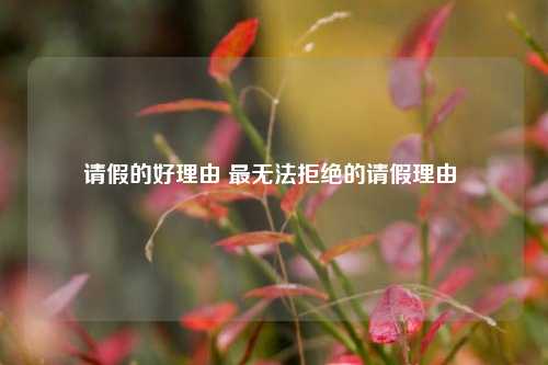 请假的好理由 最无法拒绝的请假理由 