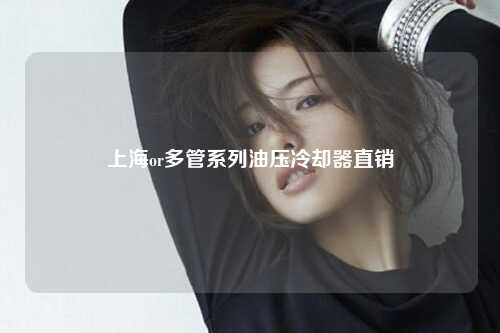 上海or多管系列油压冷却器直销