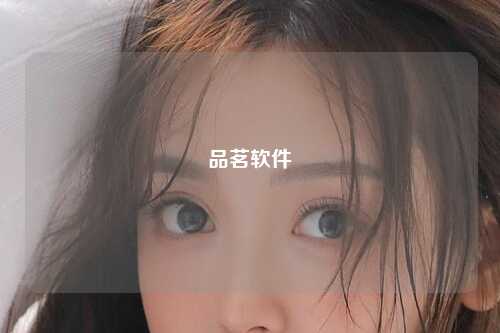 品茗软件