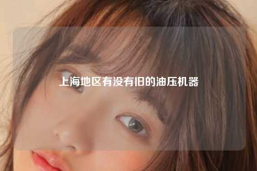 上海地区有没有旧的油压机器