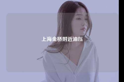 上海金桥附近油压