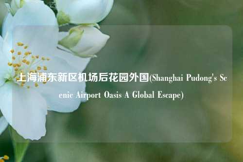 上海浦东新区机场后花园外国(Shanghai Pudong's Scenic Airport Oasis A Global Escape)