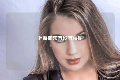 上海浦东有没有楼凤