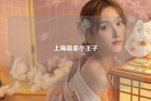 上海桑拿小王子