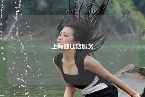 上海油压店服务