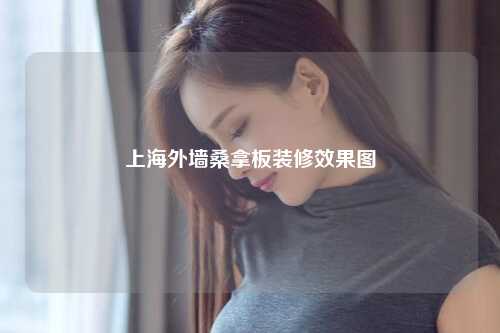 上海外墙桑拿板装修效果图