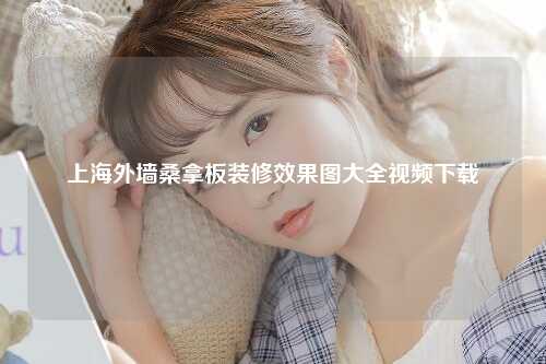 上海外墙桑拿板装修效果图大全视频下载